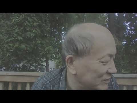 胡春华任清算小组长，中南海要批习7宗罪，温家宝大秘王东明亮眼，克强老巢市长对话