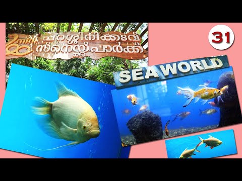 #snakepark #seaworld #artist #bibin (EP-1)