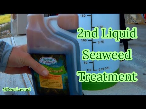 Liquid Seaweed 14 Day Follow-Up Treatment