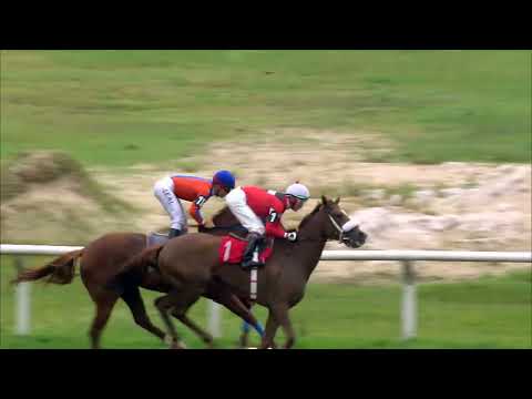 221120 c08 NANDINA (BRZ)