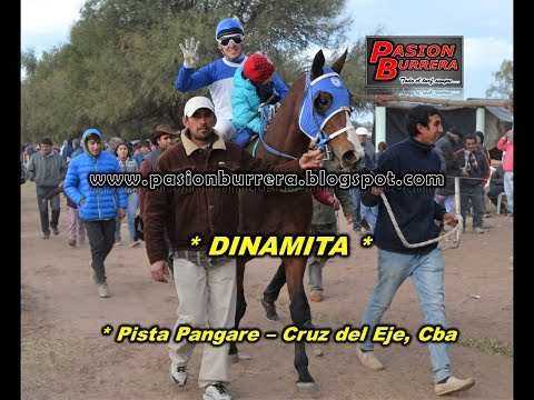 Dinamita, Pangare (16-07-17)