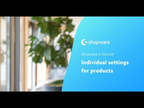 Individual settings for products (Shopware 6 Tutorial EN)