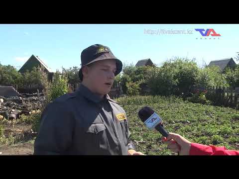 Выпуск программы "День" от 9 июня 2020 г.