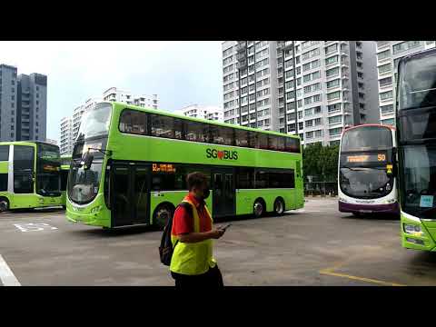 Buses at Punggol bus interchange 2021