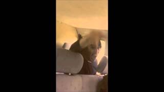 Ceremony   Walking Home