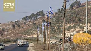 Ocho países instan a Israel a frenar la expansión de asentamientos en territorio palestino ocupado