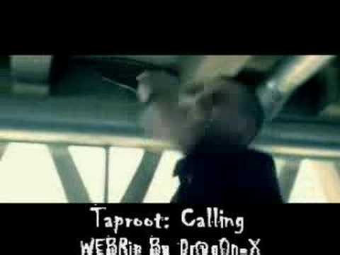 Taproot Video