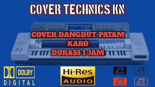 Download lagu COVER DANGDUT POPULER VERSI PATAM KARO || DURASI 1 JAM FULL JOGET mp3