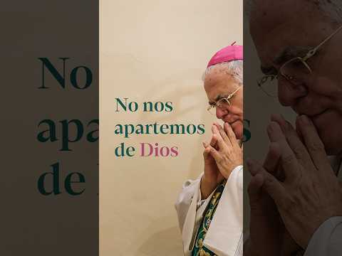 Un camino que conduzca a la paz, a la reconciliación y al progreso