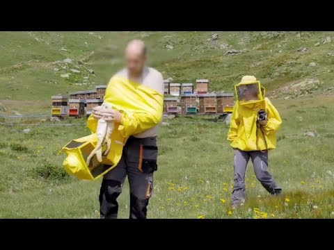 Popolazione a parassiti Prevenzione di vermi circa un anno