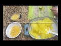 Spaghetti Squash Hash Brown Casserole Recipes