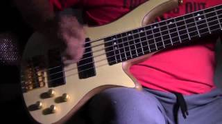 Video thumbnail for schecter custom-6 six string bass by tad sharpe