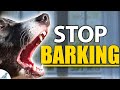 STOP Your Dog From Barking Indoors Complete Guide