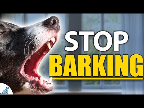 STOP Your Dog From Barking Indoors - Complete Guide