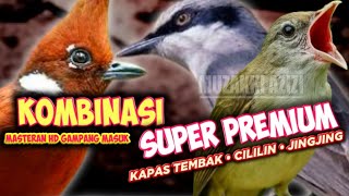 Download lagu MATERI PREMIUM!!! KOMBINASI KAPAS TEMBAK CILILIN PETULAK JINGJING || CILILIN GACOR || JINGJING GACOR mp3 Download lagu MATERI PREMIUM!!! KOMBINASI KAPAS TEMBAK CILILIN PETULAK JINGJING || CILILIN GACOR || JINGJING GACOR mp3