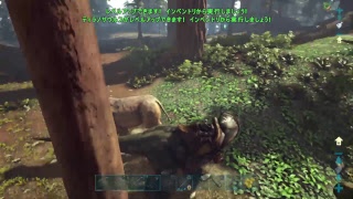 「女性実況」相方KAZEと生活！のんびりARK！ほぼ作業w参加不可