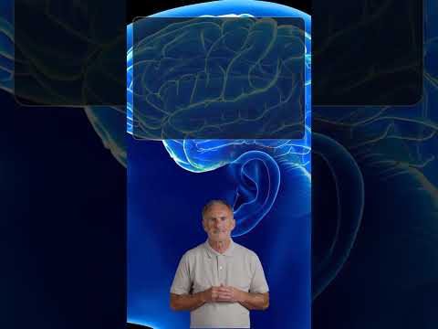 🧠 Wie speichert das Gehirn Erinnerungen  Faszinierende Einblicke🔍✨
