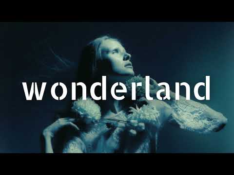 AN21, Ali Bakgor - Into Dust