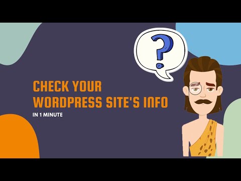 Check Your WordPress Site’s Info