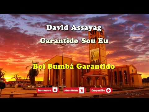 Garantido Sou Eu - Boi Garantido