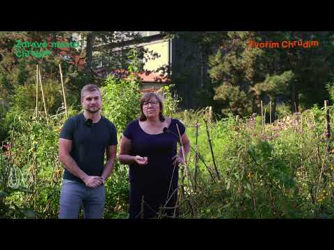 Tvořím Chrudim 2024 - ZAHRADA VE MEŠTĚ