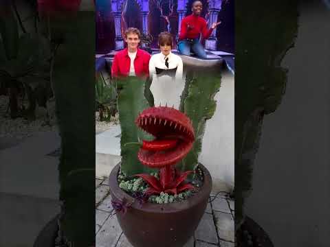 This is so funny, I couldn't stop laughing#funny #funnyvideos#duet