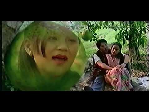 Pov Lis & Ntxawm Yaaj - Neeg Siab Neeg Qis [MUSIC VIDEO]