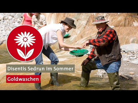 Goldwaschen Disentis Sedrun