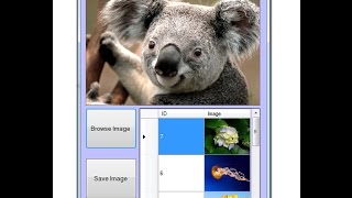 Part - 1 how to browse image in picturebox c#