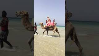 preview picture of video 'Mes vacances à djerba 2018'