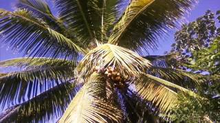 219    AZ ft JOE THOMAS    EVERYTHING IS EVERYTHING   DJ WEEKEND