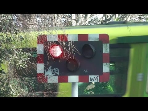 Level Crossing Lights - Sydney Parade