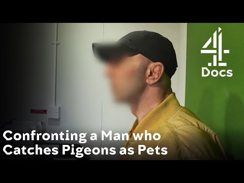 RSPCA Trainee Confronts a Man Who Captures Pigeons as Pets
