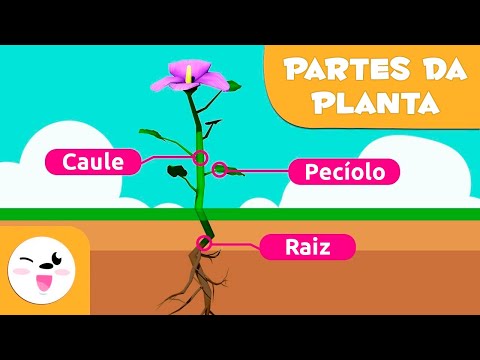 As partes da planta para crianças |Ciências para crianças