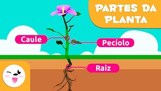 As partes da planta para crianças |Ciências para crianças