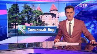 Весь сосновый бор кооператив рыболовецкий колхоз