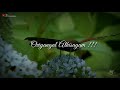 Poovukkul Olinthirukum ARR Jeans Tamil Whatsapp Lyric Status S Creations