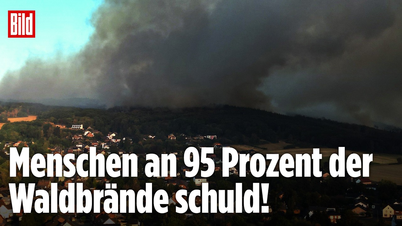 Inferno in Hürtgenwald: Brand-Experte warnt! Darum breiten sich die Flammen so schnell aus