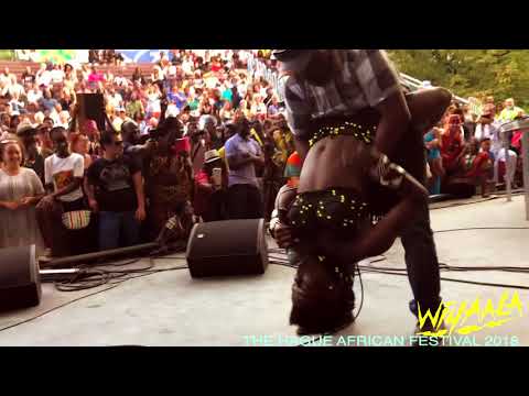 Wiyaala @ The Hague African Festival 2018