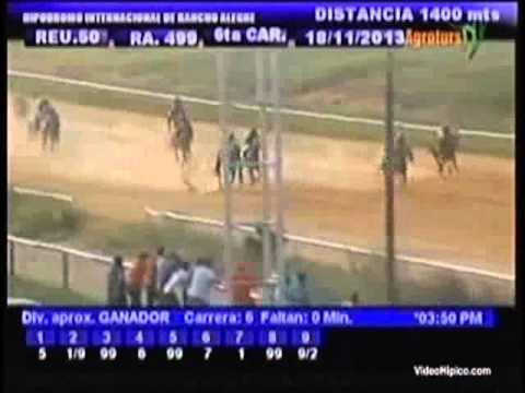 Resumen Lunes, 18 de Noviembre 2013 - Rancho Alegre