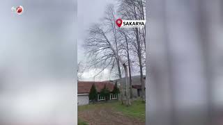 Şiddetli Rüzgar Ortalığı Savaş Alanına Çevirdi