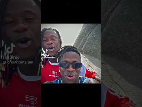 comao comao Gamavinga