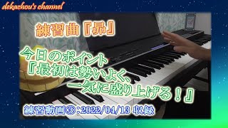 【大人から始めたピアノ初心者の練習動画】昴③
