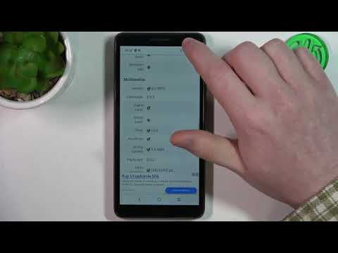 How to Many Megapixels Do the Cameras on ALCATEL 1B (2022) Phone Have? Let's Find Out!