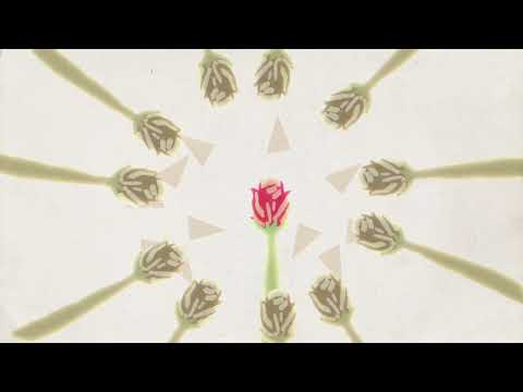 K a m a i t a c h i - O Cravo e a Rosa