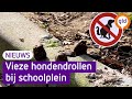 Kinderen lopen constant door hondenpoep bij school