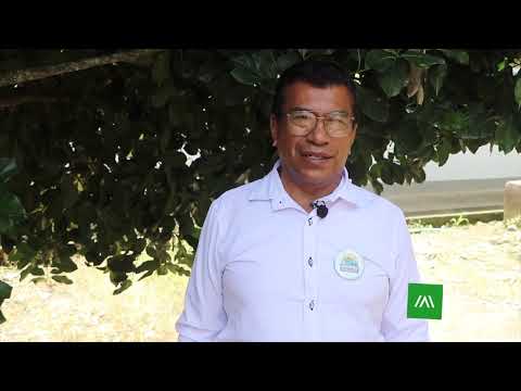 En San Miguel los jóvenes eligen el campo y transforman su territorio, apoyados por AGROSAVIA