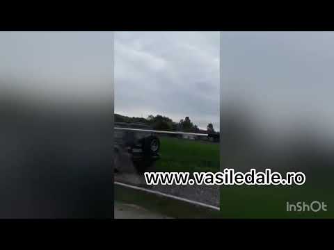 Pustan fara permis Copalnic Manastur