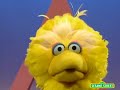 Sesame Street Grover Finds The Letter A