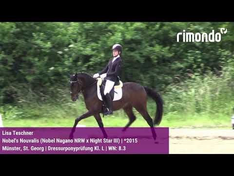 Qualifikation zum Bundeschampionat der 5+6-jährigen Dressurponys in Münster, St. Georg 2021